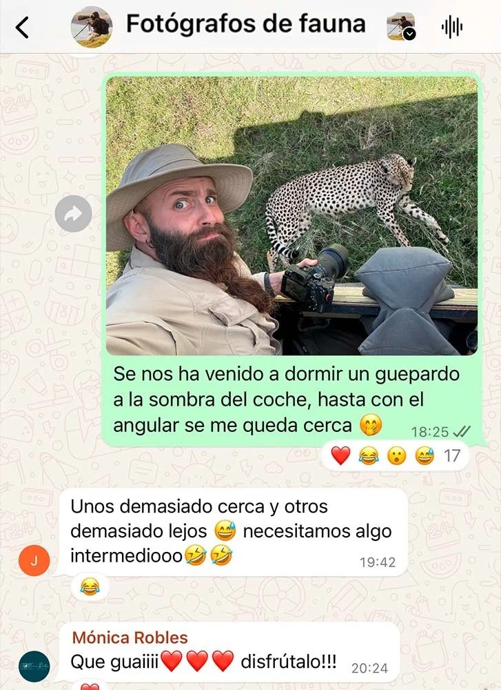 imgi_112_captura+whatsapp+grupo+fauna
